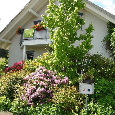 埃里卡阿姆维格酒店 Kesswil 外观 照片